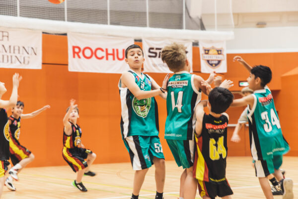 Basket2024-51