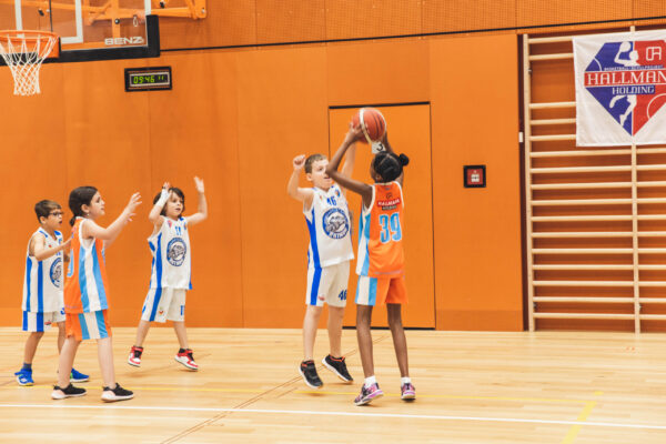 Basket2024-57
