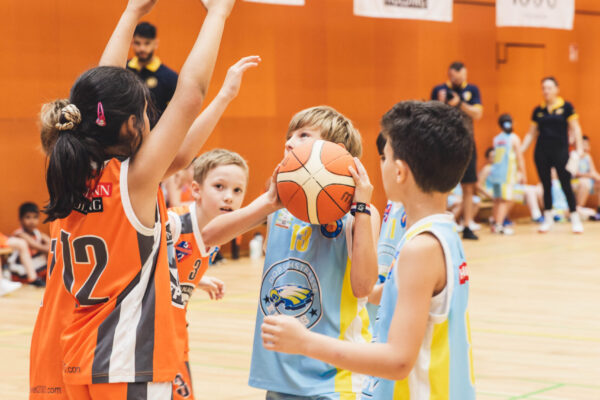 Basket2024-68
