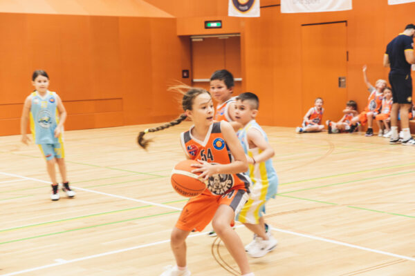 Basket2024-74