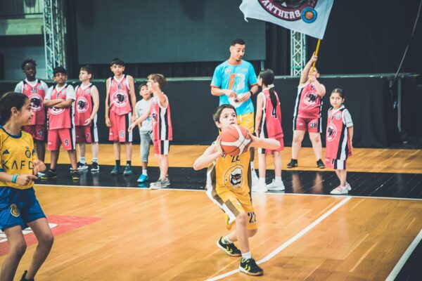 Basket-108