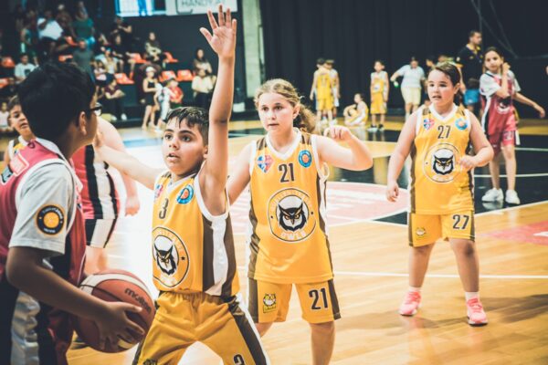 Basket-112