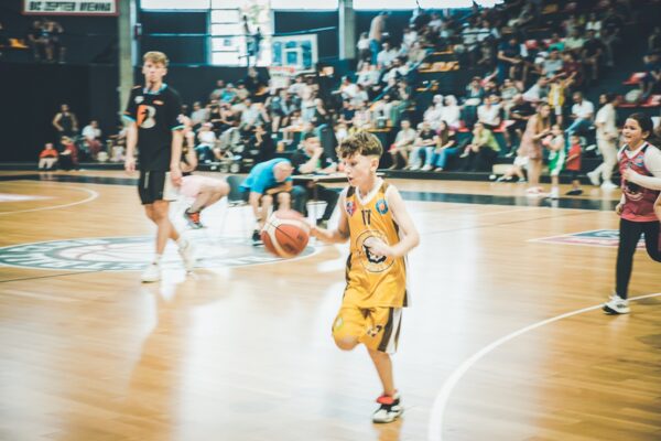 Basket-116