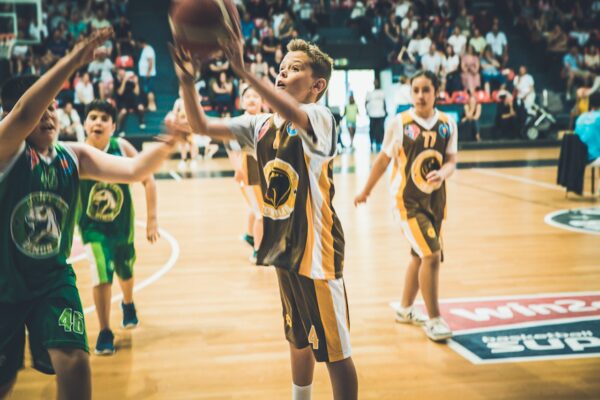 Basket-133