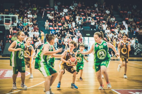 Basket-136