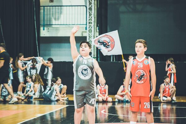 Basket-142