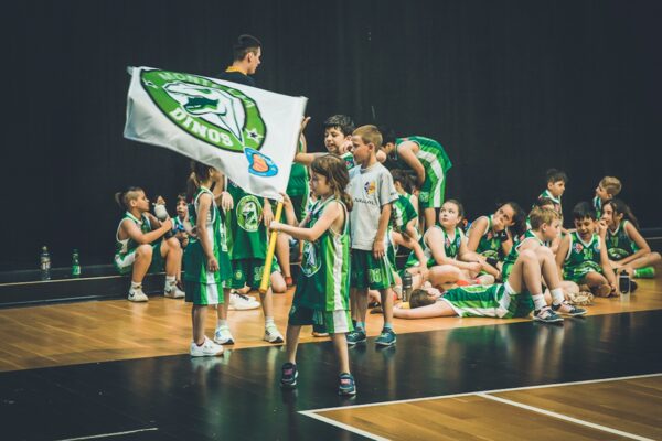 Basket-146