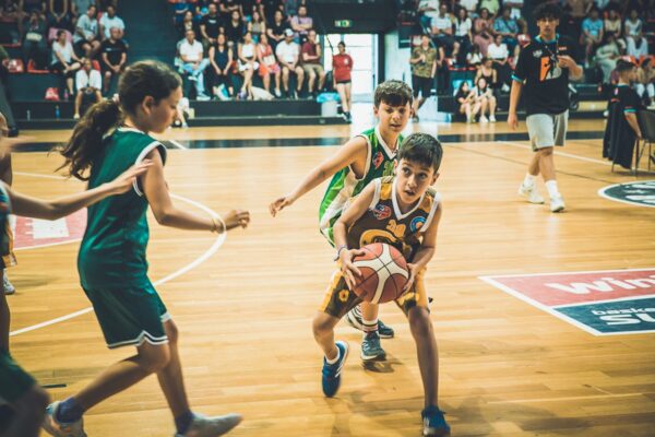 Basket-147