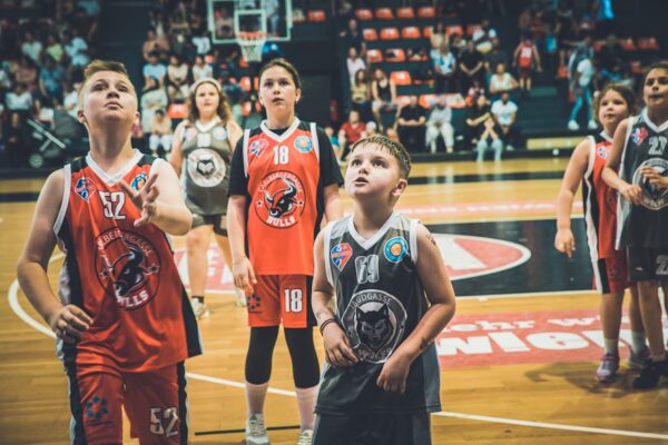 Basket-152