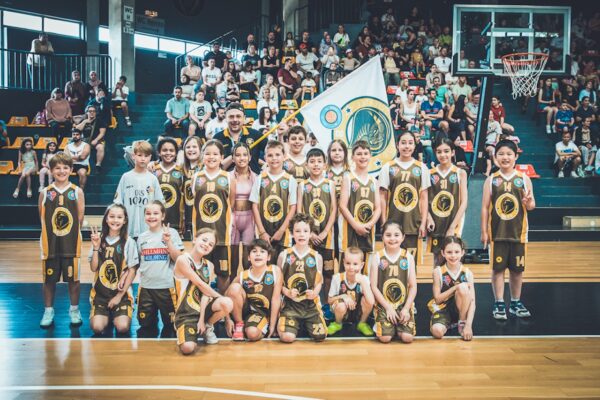Basket-16