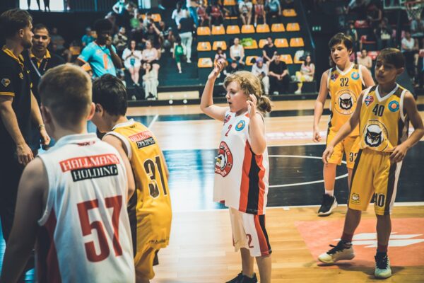 Basket-161
