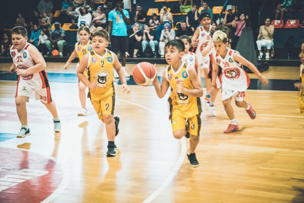 Basket-162
