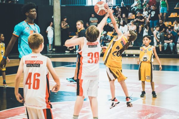 Basket-166