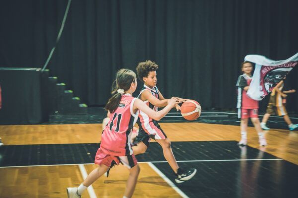 Basket-172