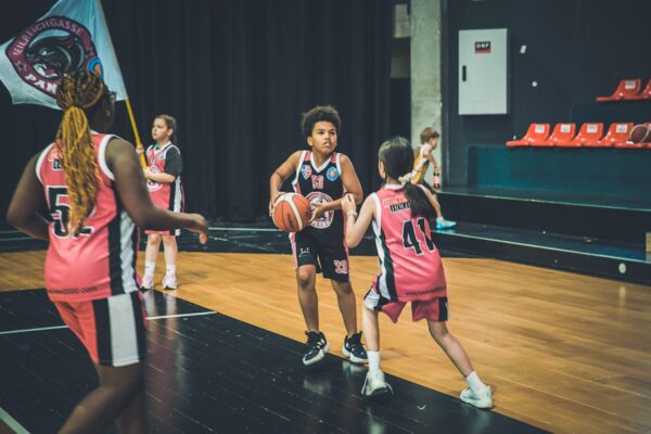 Basket-173