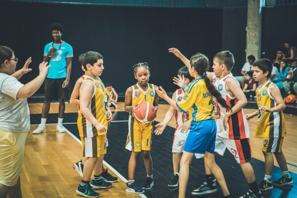 Basket-178