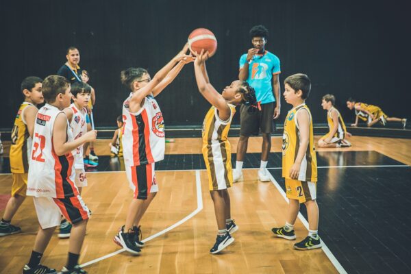 Basket-179