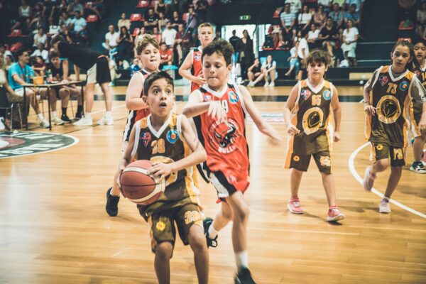 Basket-194