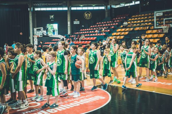 Basket-208