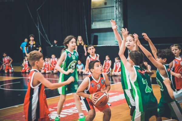 Basket-21