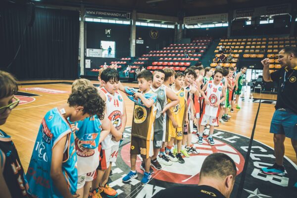 Basket-211