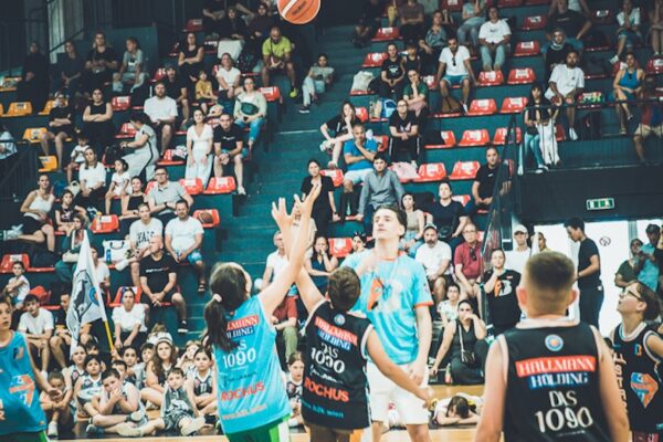 Basket-216