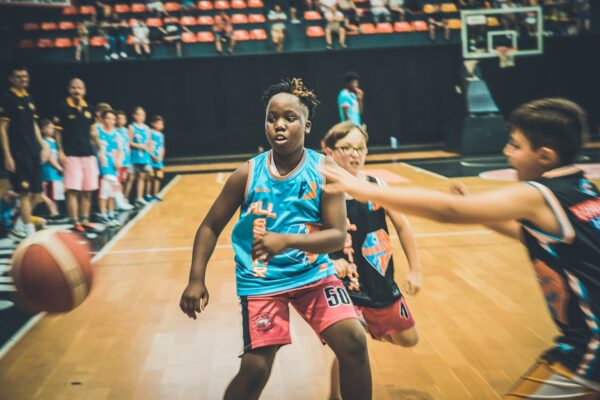 Basket-217