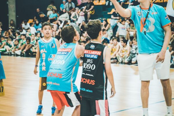 Basket-222
