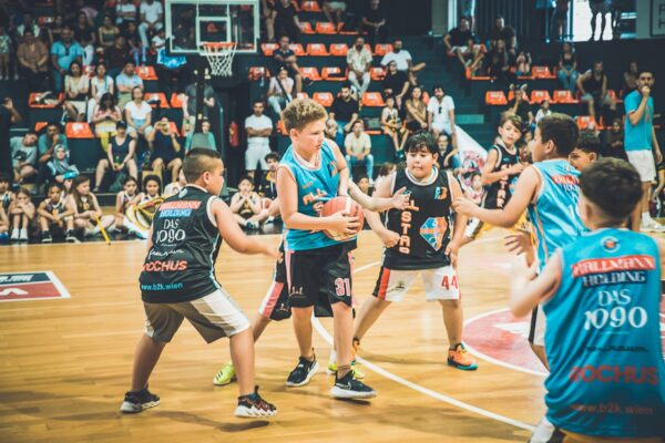 Basket-224