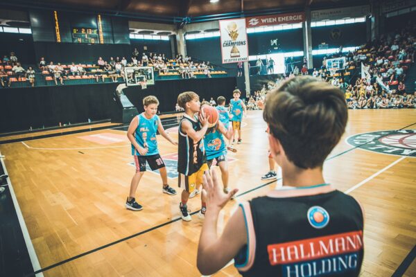 Basket-225