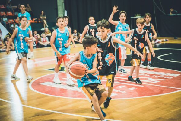 Basket-227