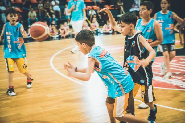 Basket-228