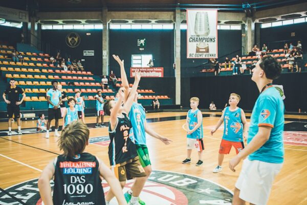 Basket-230