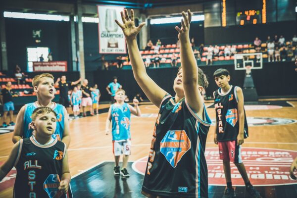 Basket-233