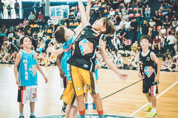 Basket-235