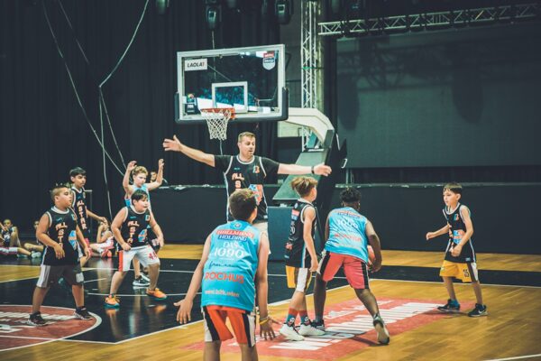 Basket-237