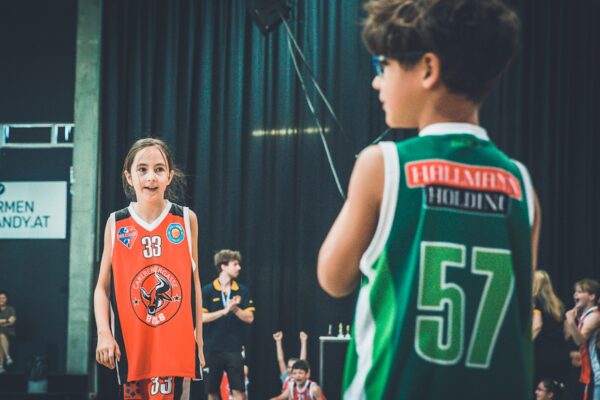 Basket-24