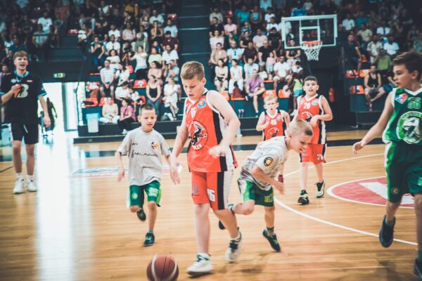 Basket-29