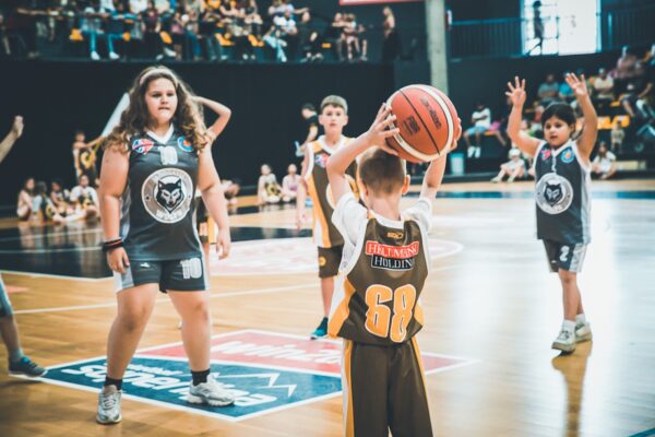 Basket-30