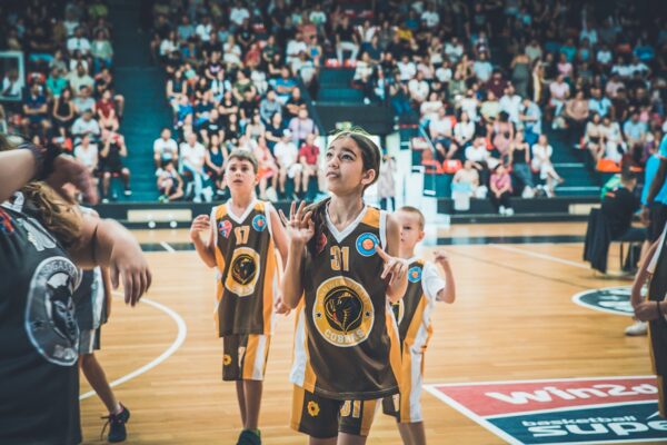 Basket-31
