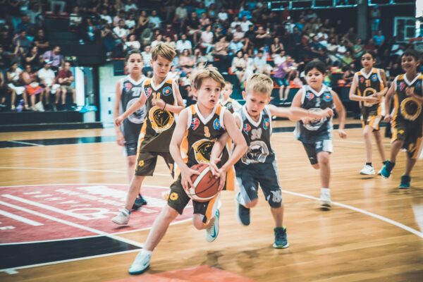 Basket-33