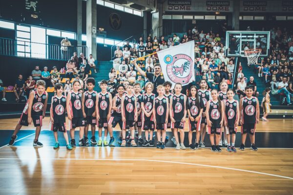 Basket-4