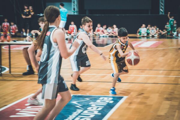 Basket-41