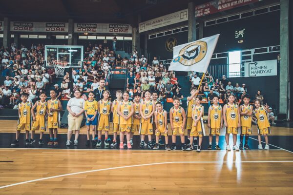 Basket-6