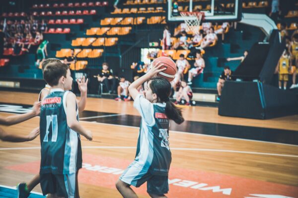 Basket-60