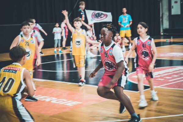 Basket-80