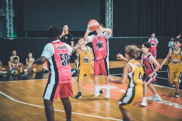 Basket-81