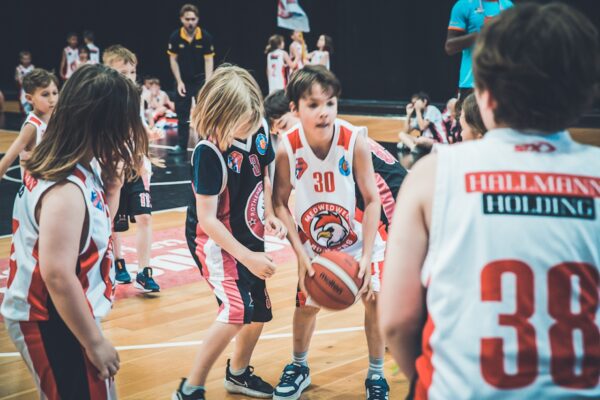 Basket-86