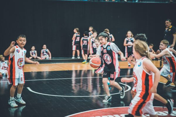 Basket-95