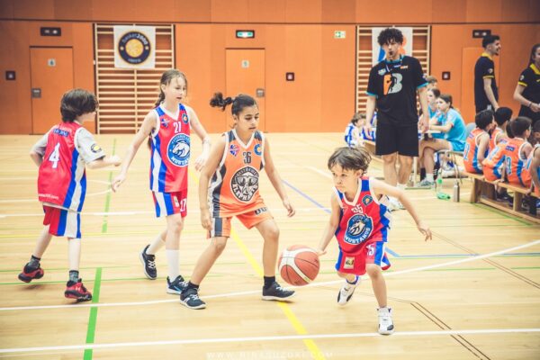Basketball-191 Basketball-191